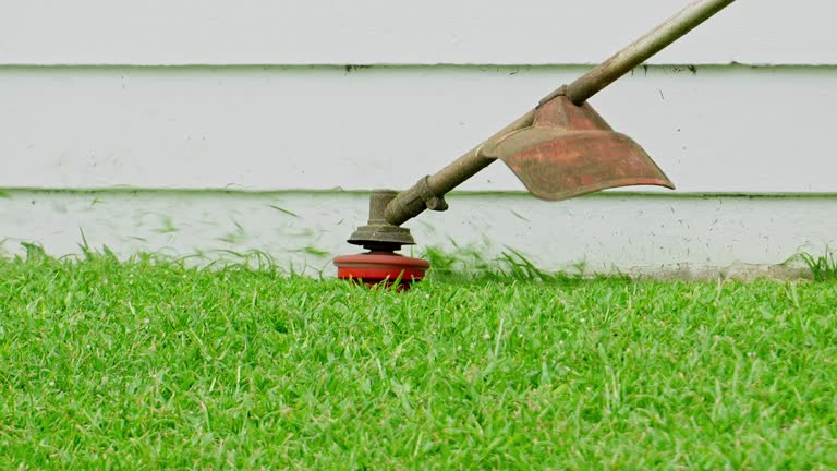 Artificial Turf Installation in Shirley, NY